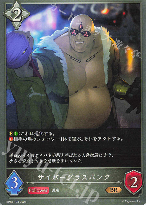 BR サイバーグラスパンク | 販売 | [BP18]新約都市・透京 | Shadowverse EVOLVE