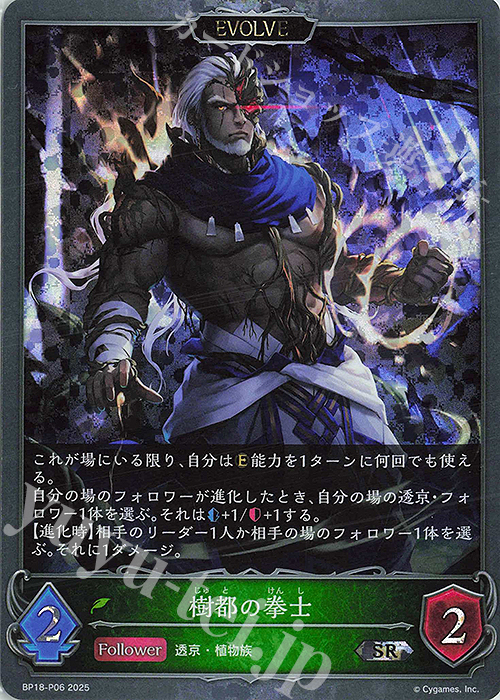 SR・プレミアム 樹都の拳士 | 販売 | [BP18]新約都市・透京 | Shadowverse EVOLVE