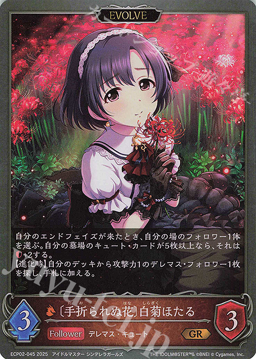 GR 〔手折られぬ花〕白菊ほたる 販売 | [ECP02]EXコラボパック
