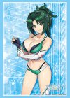  ブシロードスリーブコレクションHG Vol.4945 ドルフィンウェーブ『陽南杏里』  (11月21日 発売) 