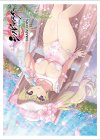  カーテン魂 シノビマスター 閃乱カグラ NEW LINK スリーブ『華風流／盛・伝説爆乳祭・弐』(2月上旬 発売) 