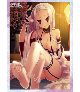 NEXTONガールズスリーブコレクション Vol.016 戦国†恋姫「一葉」 | 販売 | サプライ