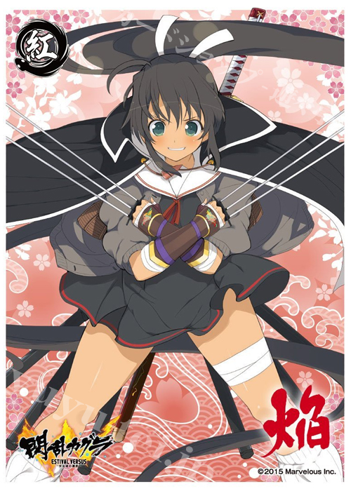 キャラクタースリーブ EN-434 閃乱カグラ ESTIVAL VERSUS -少女達の