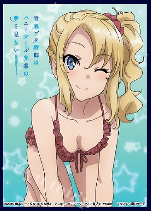 クロックワークス スリーブコレクション vol.30 青春ブタ野郎はバニーガール先輩の夢を見ない 『豊浜のどか』 | 販売 | サプライ