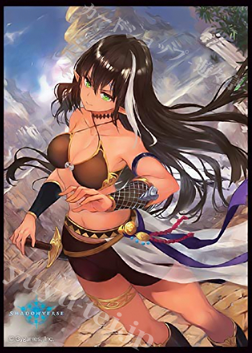 きゃらスリーブコレクション マットシリーズ Shadowverse 「冥守の頂点・アイシャ」 | 販売 | サプライ