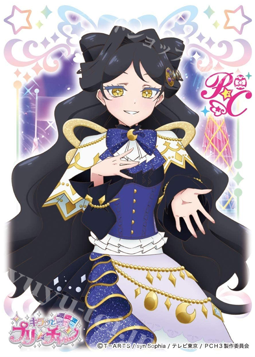 キャラクタースリーブ EN-1011 キラッとプリ☆チャン 『ルルナ』 | 販売 | サプライ