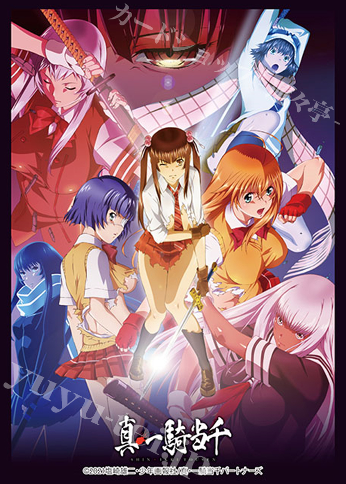ブシロードスリーブコレクションHG Vol.3433 『真・一騎当千』 | 販売 | サプライ