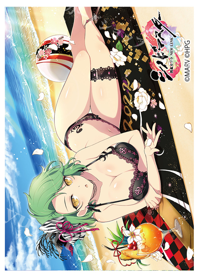 カーテン魂　キャラクタースリーブ　閃乱カグラ　シノマス　まとめ カーテン魂 シノビマスター 閃乱カグラ NEW LINK スリーブ『睡蓮／人気