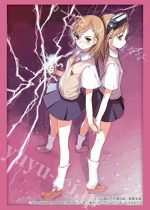 ブシロードスリーブコレクションHG Vol.3819 電撃文庫 とある魔術の禁書目録『御坂美琴&御坂妹』 | 販売 | サプライ