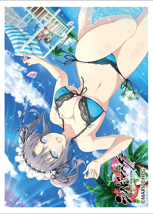 閃乱カグラ 雪泉 スリーブ　未開封 シノビマスター 閃乱カグラ NEW LINK スリーブ 『雪泉／81の日
