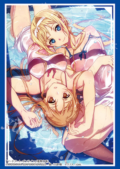 ブシロードスリーブコレクションHG Vol.4016 電撃文庫 ソードアート・オンライン『アスナ&アリス』 | 販売 | サプライ