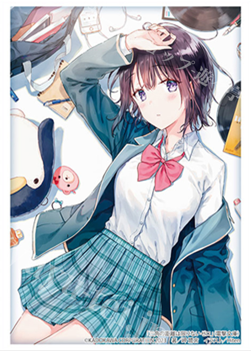 ブシロードスリーブコレクションHG Vol.4295 電撃文庫 三角の距離は限りないゼロ『水瀬秋玻／春珂』 | 販売 | サプライ