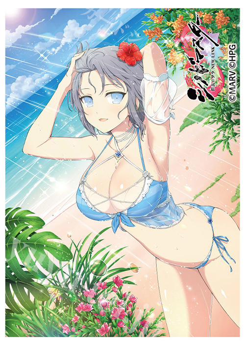 シノビマスター 閃乱カグラ NEW LINK スリーブ 『雪泉／SV10周年盛