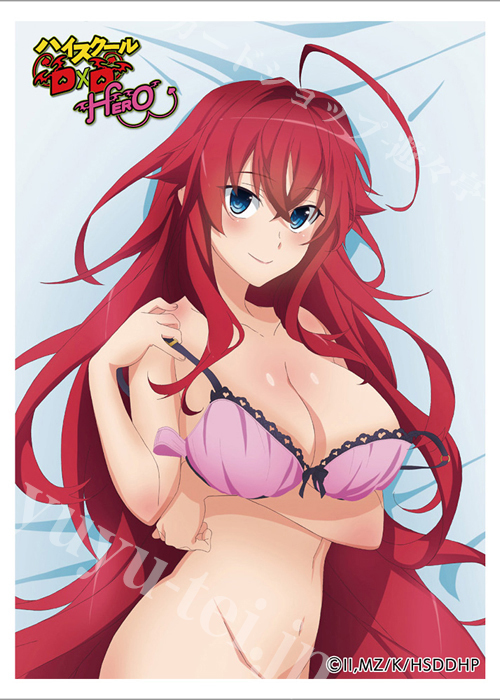 ハイスクールD×D HERO スリーブ『リアス・グレモリー』(2月上旬 発売)