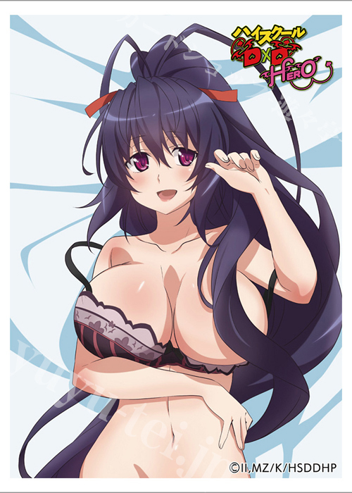 ハイスクールD×D HERO スリーブ『姫島朱乃』(2月上旬 発売)