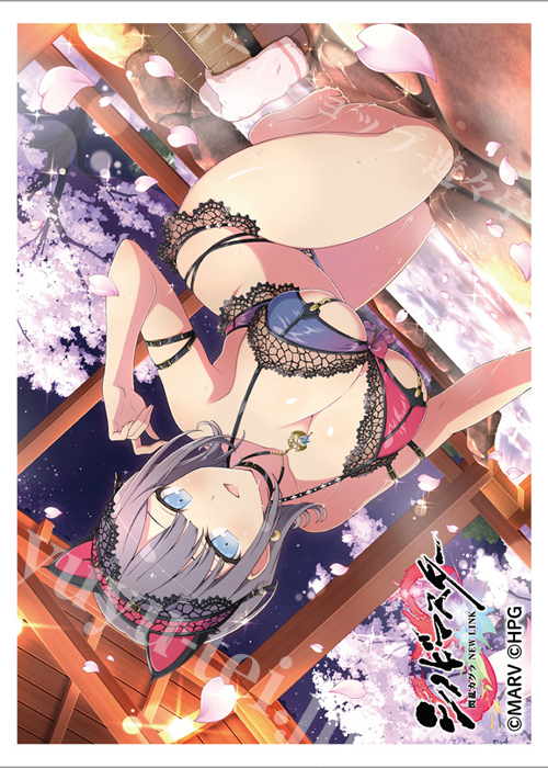 カーテン魂 シノビマスター 閃乱カグラ NEW LINK スリーブ『雪泉/81の日盛・伝説双乳祭』(2月上旬 発売)