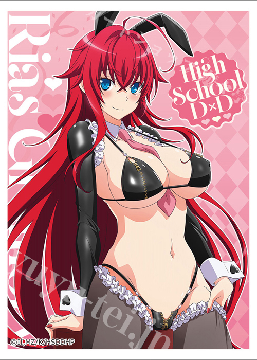 カーテン魂 ハイスクールD×D HERO 描き下ろしスリーブ『リアス・グレモリー／逆バニー（黒）』(5月下旬 発売)