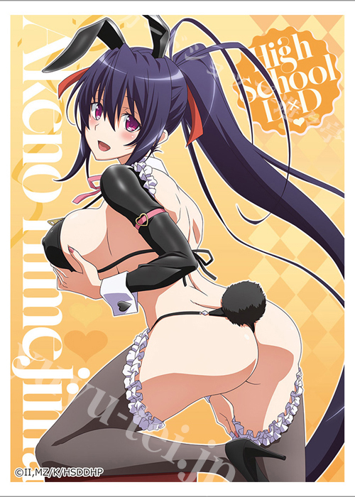 カーテン魂 ハイスクールD×D HERO 描き下ろしスリーブ『姫島朱乃／逆バニー（黒）』(5月下旬 発売)