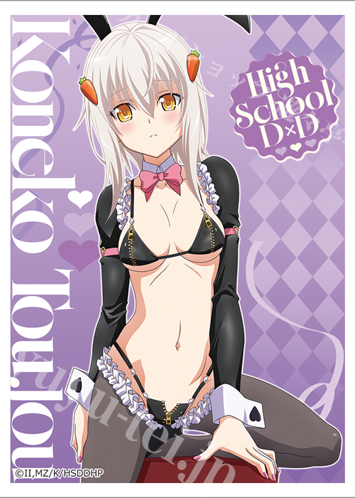 カーテン魂 ハイスクールD×D HERO 描き下ろしスリーブ『塔城小猫／逆バニー（黒）』(5月下旬 発売)