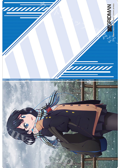 ブシロード ラバーマットコレクション Vol.500 SSSS.GRIDMAN 『宝多六花』 | 販売 | サプライ