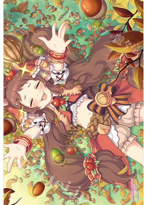 ブシロード ラバーマットコレクション Vol.861 プリンセスコネクト！Re:Dive 『リン』 | 販売 | サプライ