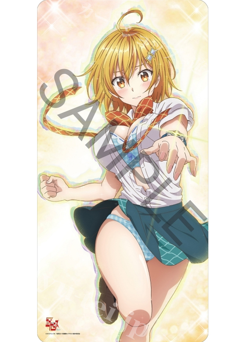 ラバープレイマットコレクション 「ド級編隊エグゼロス／星乃 雲母ver.」 | 販売 | サプライ