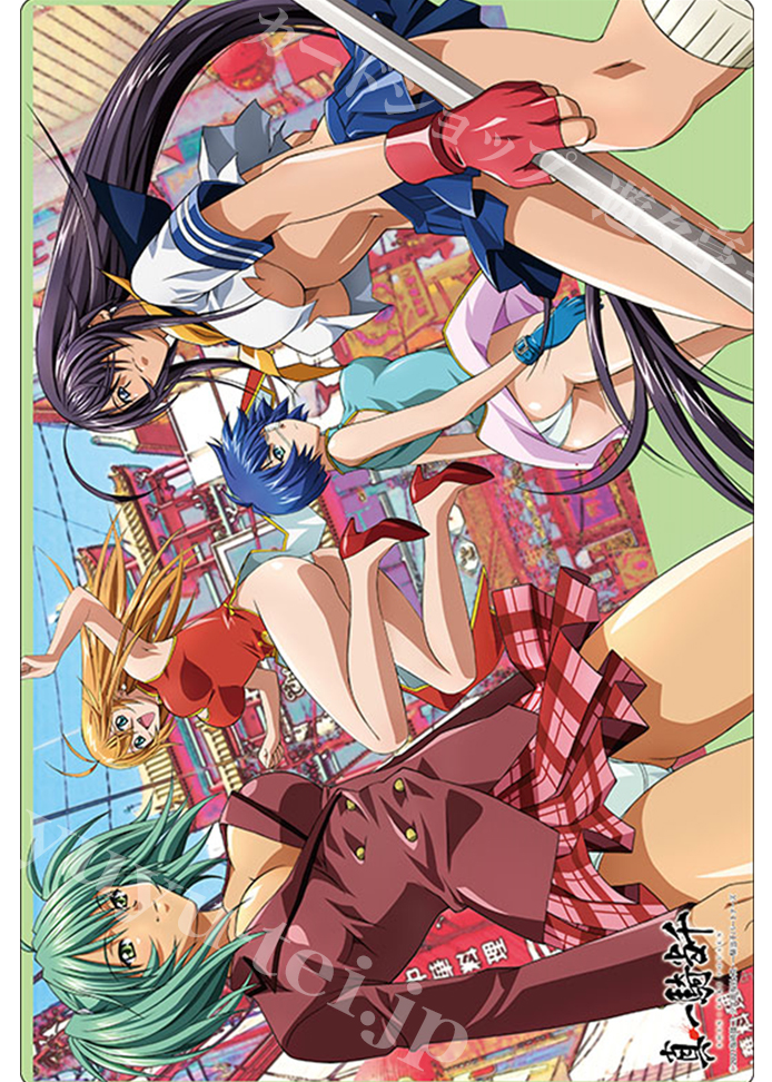 ブシロード ラバーマットコレクションV2 Vol.559 一騎当千 『孫策・呂蒙・関羽・呂布』 | 販売 | サプライ