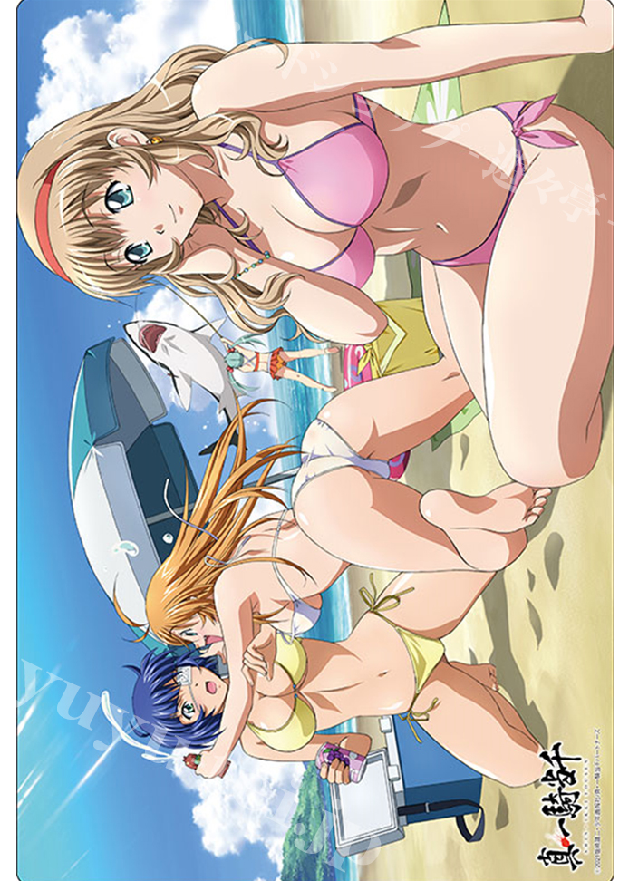 ブシロード ラバーマットコレクションV2 Vol.560 一騎当千 『孫策・呂蒙・孫権』 | 販売 | サプライ