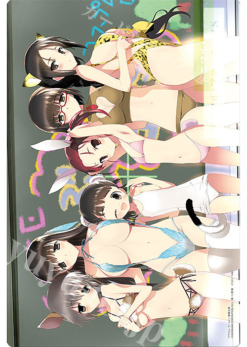 ブシロード ラバーマットコレクションV2 Vol.1004 電撃文庫 アクセル・ワールド『水際の号火』 | 販売 | サプライ