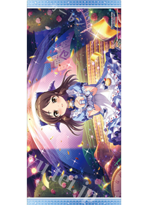 ブシロード ラバーマットコレクションV2 Vol.1564 アイドルマスター