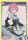 EX17BT/REZ-2-006 SR ラム