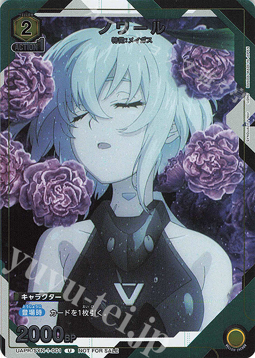 PR-U ノワール | 買取 | SYNDUALITY Noir | ユニオンアリーナ