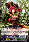  BT08/062 C チューリップの銃士 アルミラ 