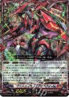 D-BT03/001 RRR ヴェルリーナ・エクスペクター 