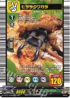  D-BT11/EX08 EX ヒラタクワガタ 