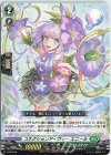 D-PR/040 PR コネクションアイヴィー エニール