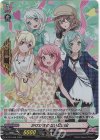 D-PR/1638 PR かけがえのない思い出 
