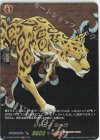  D-TB03/SKR35 SKR ジャガー ミック 