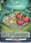  D-TB06/032 RR わくわくの実 