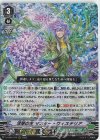  D-VS04/079 RRR 深翠の主マスター・ウィステリア 