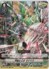  D-VS04/084 RRR 花園の乙女マイリス 