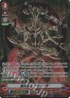  D-VS06/SP08 SP 魔神侯爵 アモン “Я”  