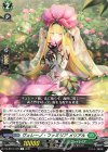  DZ-BT01/120 C ヴェレーノ・ファミリア メリアル 