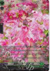  DZ-BT03/SR36 SR 友好の乙女 アルヴィナ(箔押し) 