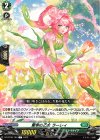 DZ-BT08/100 C 愛幸の乙女 ラーレィ