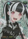  DZ-BT10/EXS34 EXS 10th anniversary RAISE A SUILEN パレオ(サイン入り) 
