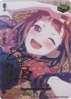 DZ-BT17/EXS01 EXS Poppin’Party 戸山 香澄(サイン入り)