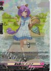 DZ-LBT01/SR30 SR 星を届けに ターミア(箔押し)