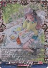 DZ-SS11/FFR18 FFR Lyrical ShootingStarS ☆ 増刊号(箔押し)