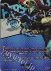 DZ-TPB02/T+13 T+ パラディオン(箔押し)
